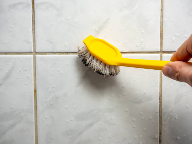 Best Office Mold Removal Services  in Cornish, ME