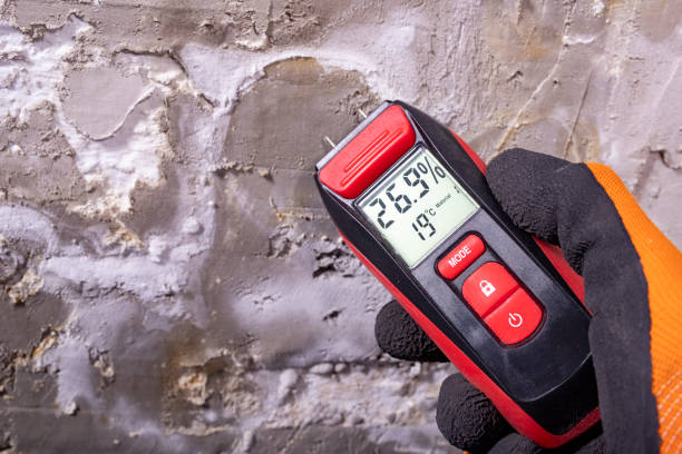 Reliable Cornish, ME Mold Removal Solutions