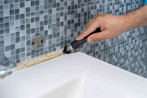 Best Professional Mold Removal  in Cornish, ME