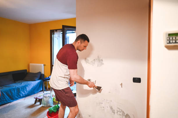 Best Attic Mold Removal  in Cornish, ME